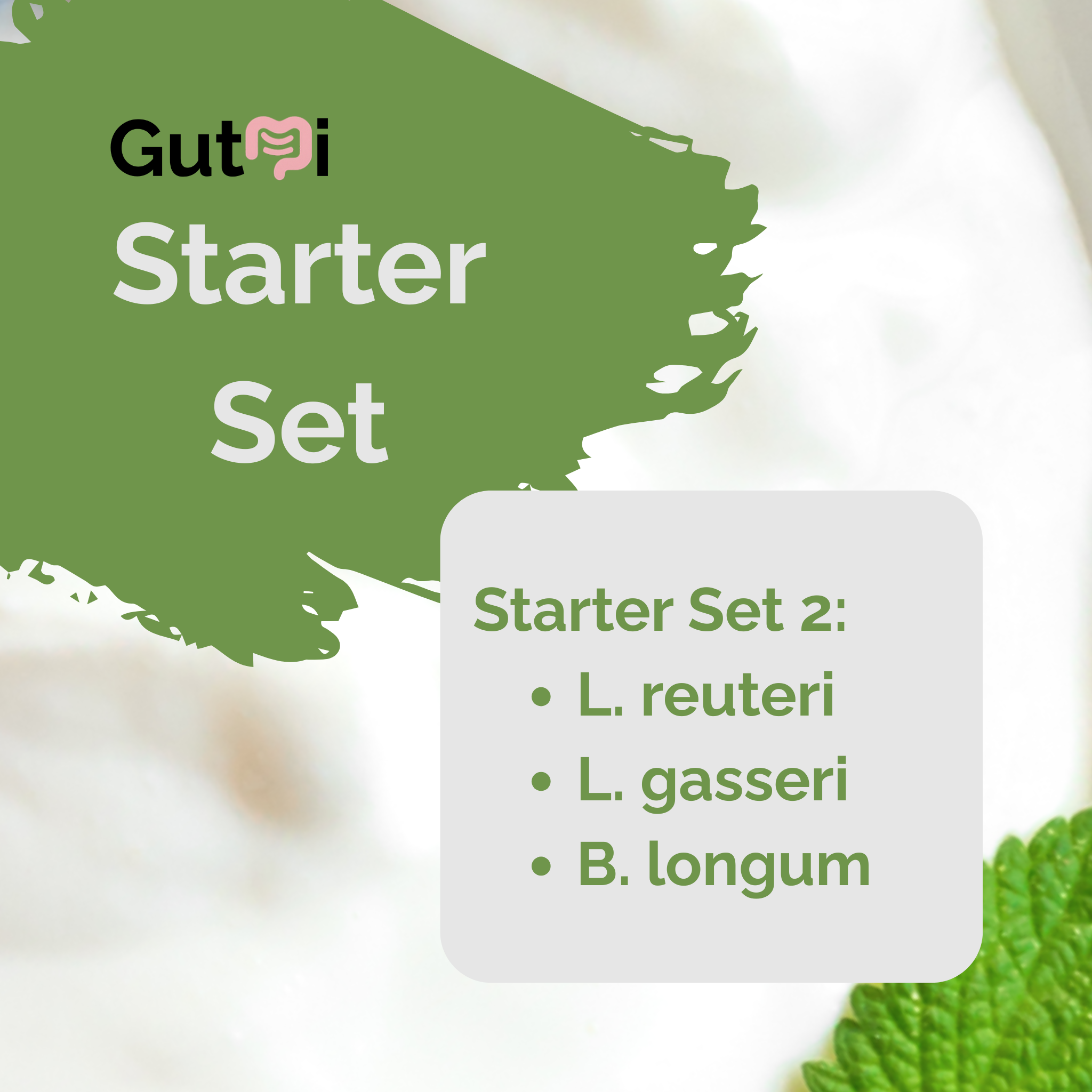 GutMi | L. reuteri + L. gasseri + B. longum | Yogurt Starter Set | Light Gut | Starter Cultures | Pack of 3